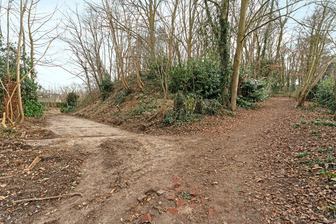 Photo 8 of Oude Bosweg