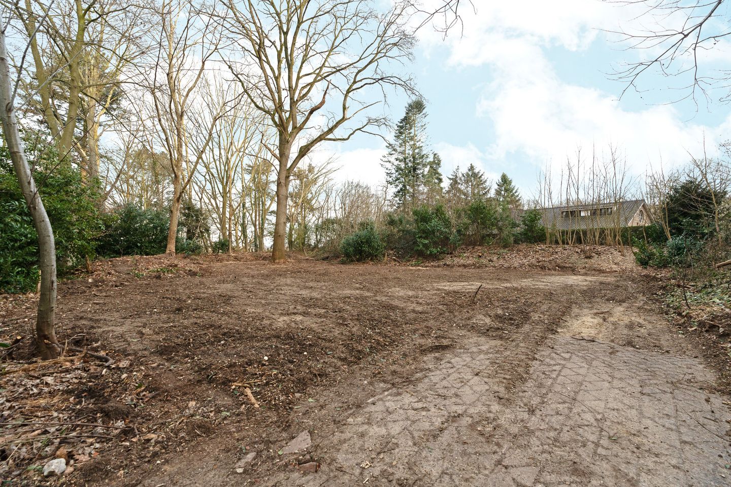 Photo 10 of Oude Bosweg