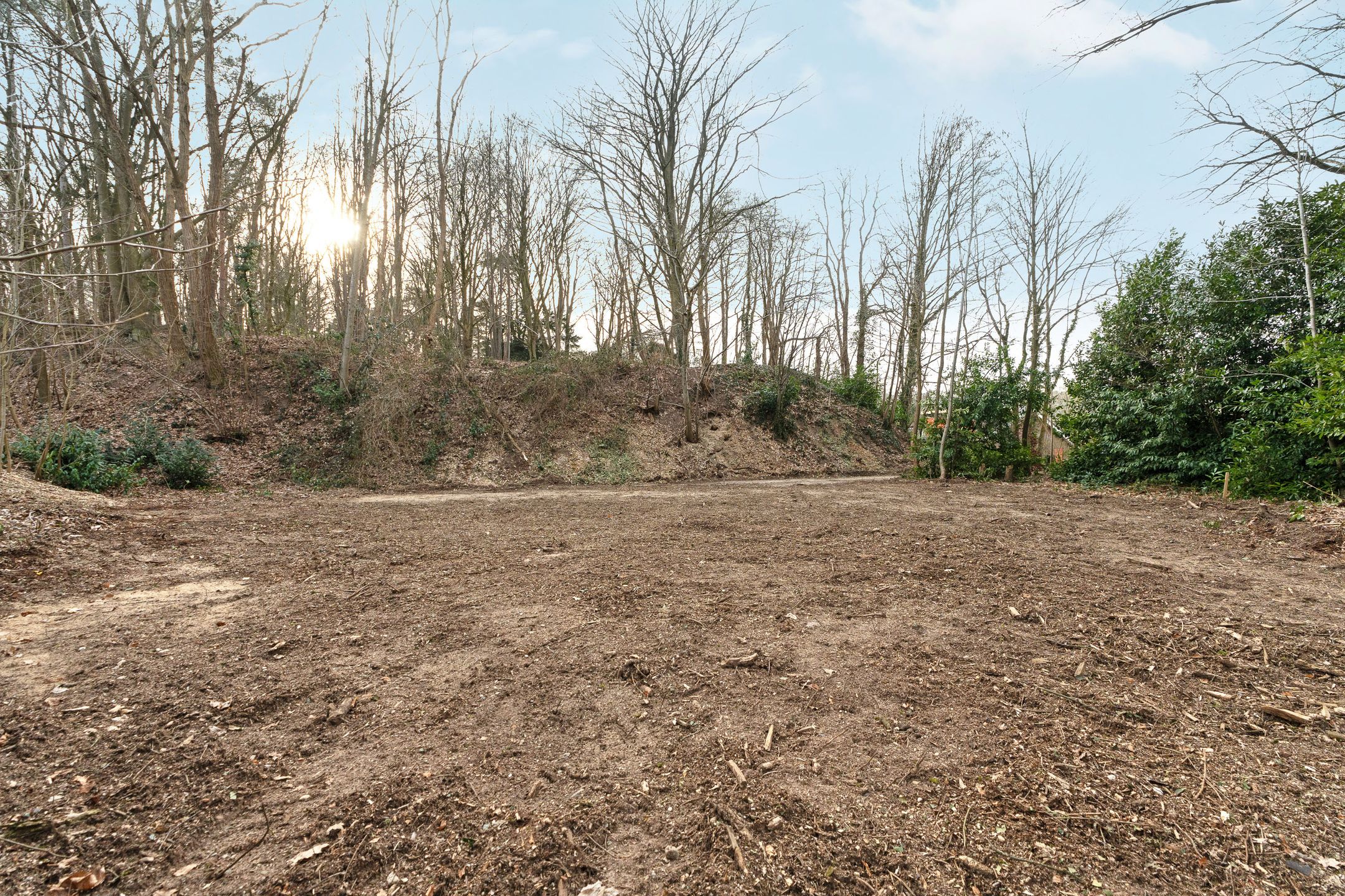 Photo 12 of Oude Bosweg