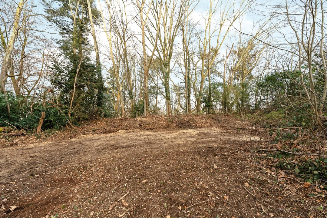 Photo 13 of Oude Bosweg