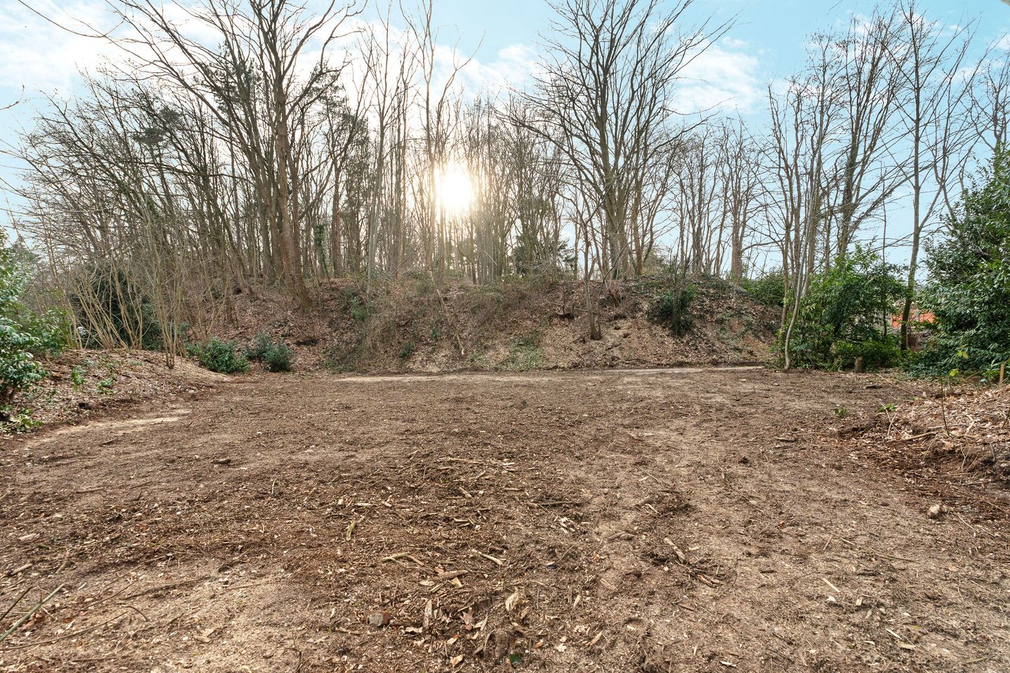 Photo 14 of Oude Bosweg