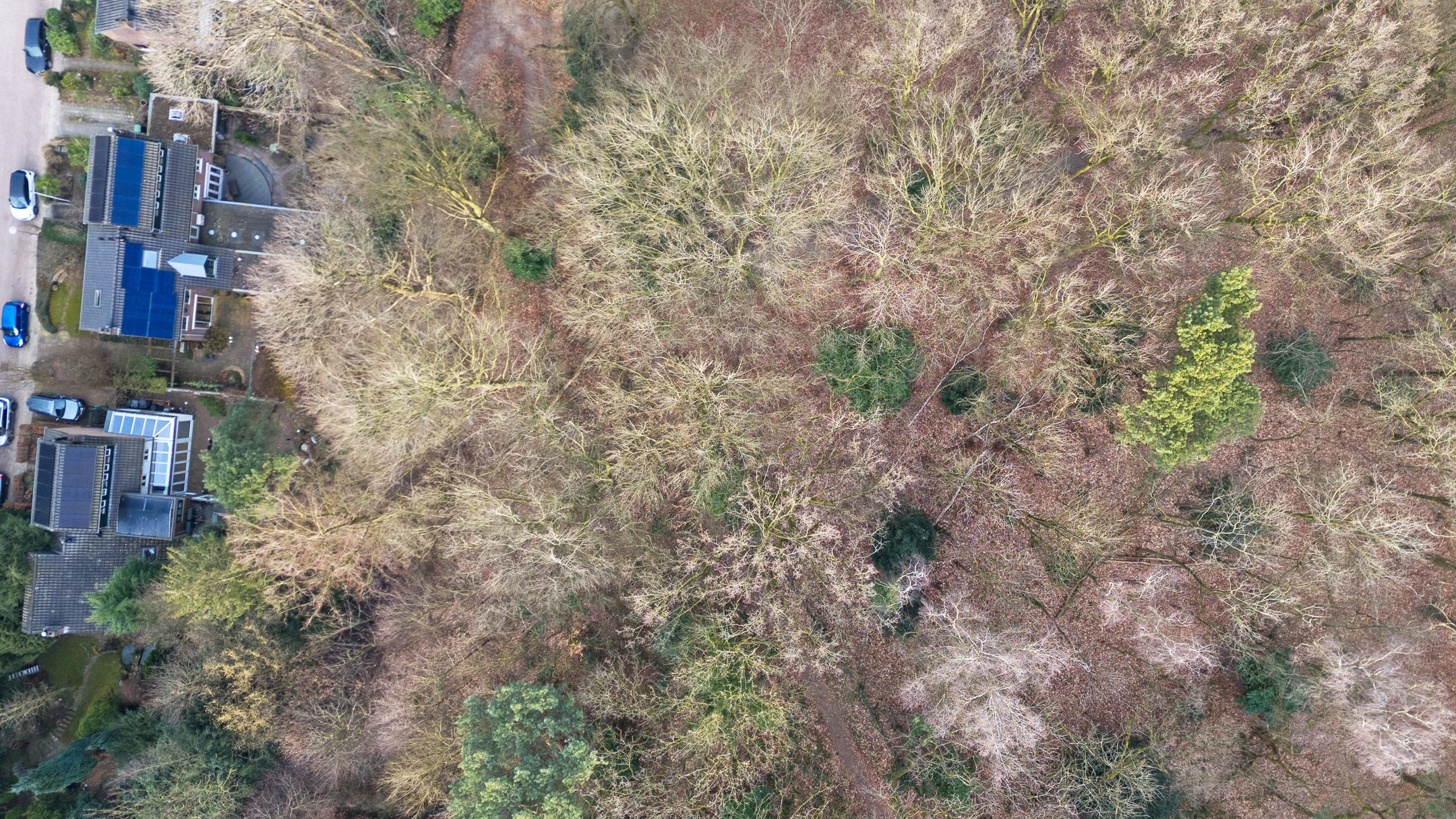 Photo 18 of Oude Bosweg