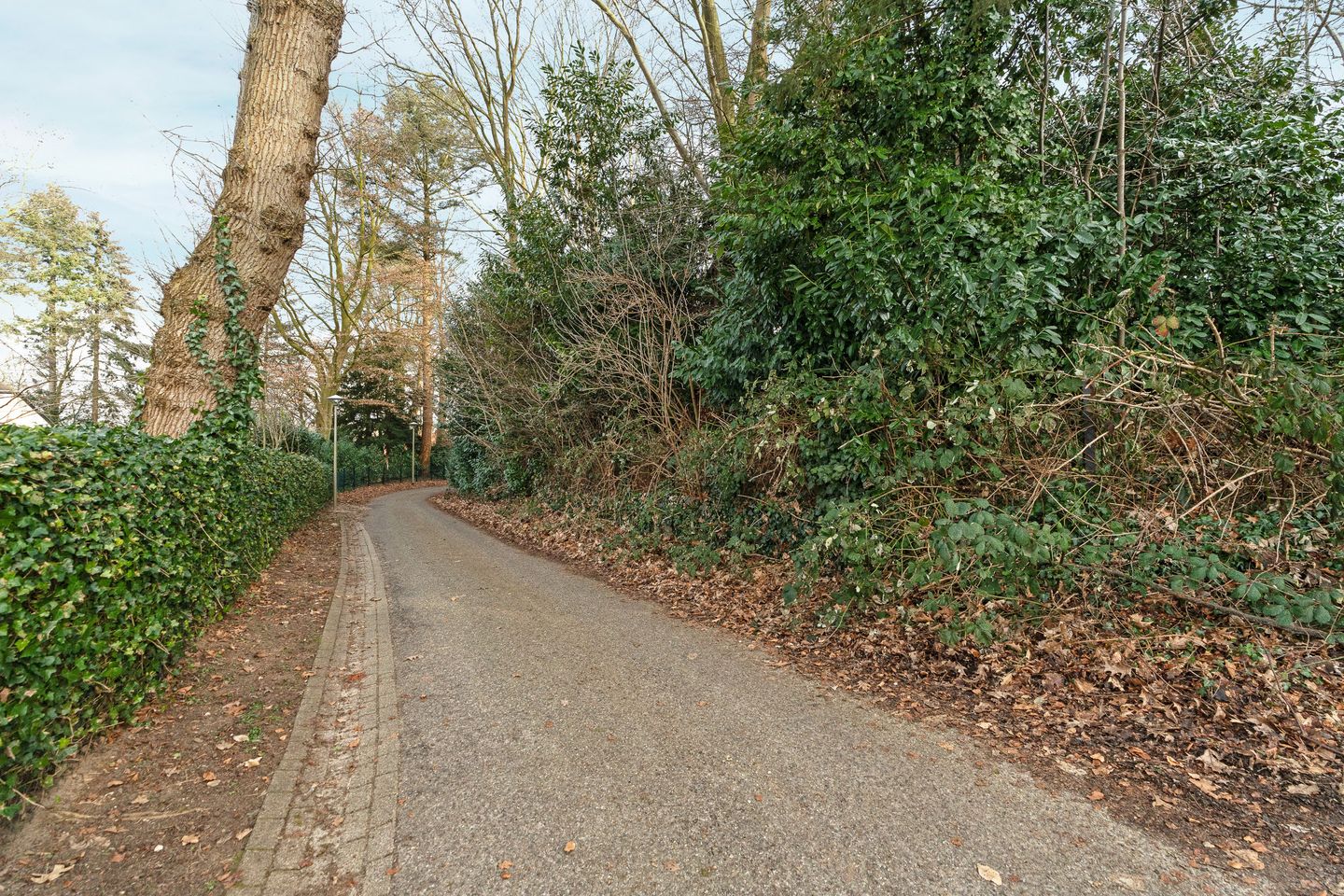 Photo 19 of Oude Bosweg