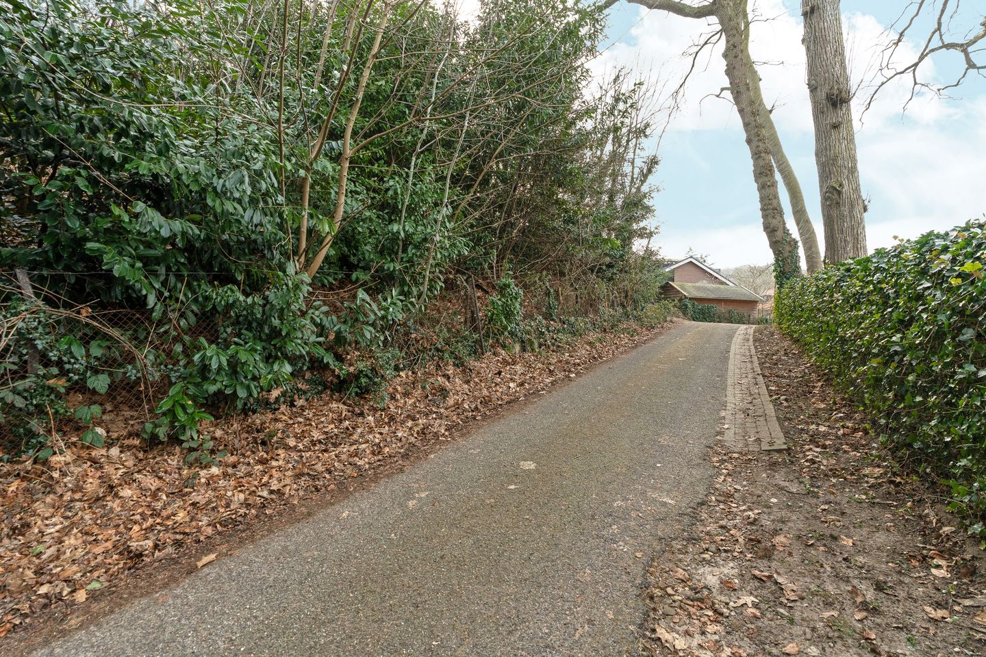 Photo 20 of Oude Bosweg