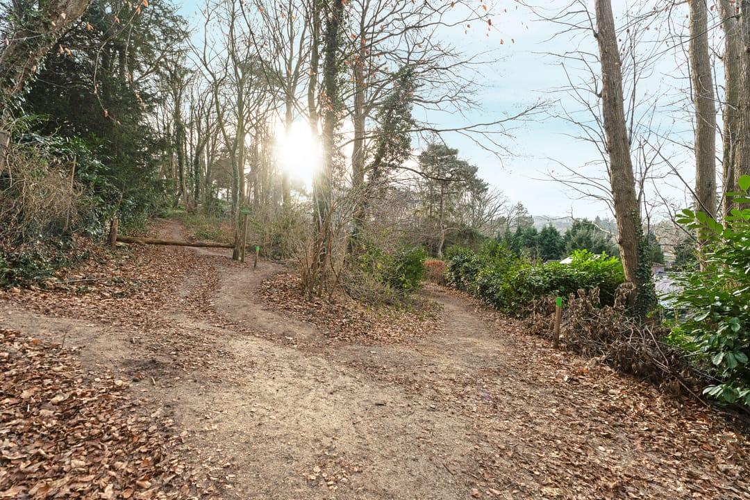 Photo 22 of Oude Bosweg