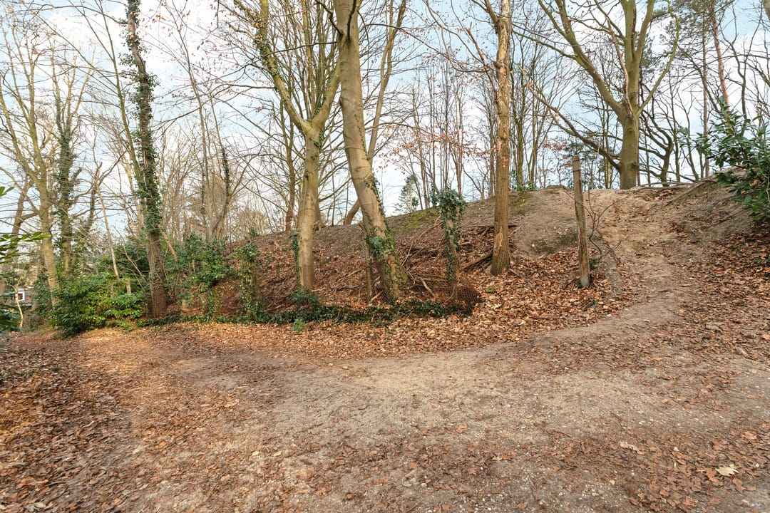 Photo 23 of Oude Bosweg