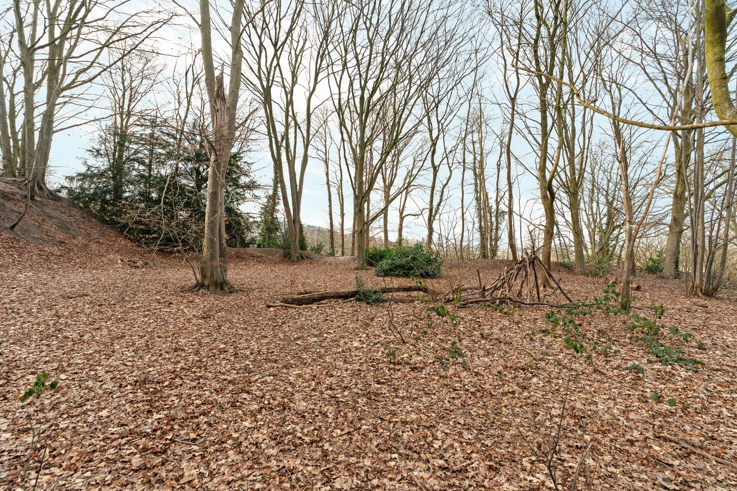 Photo 25 of Oude Bosweg