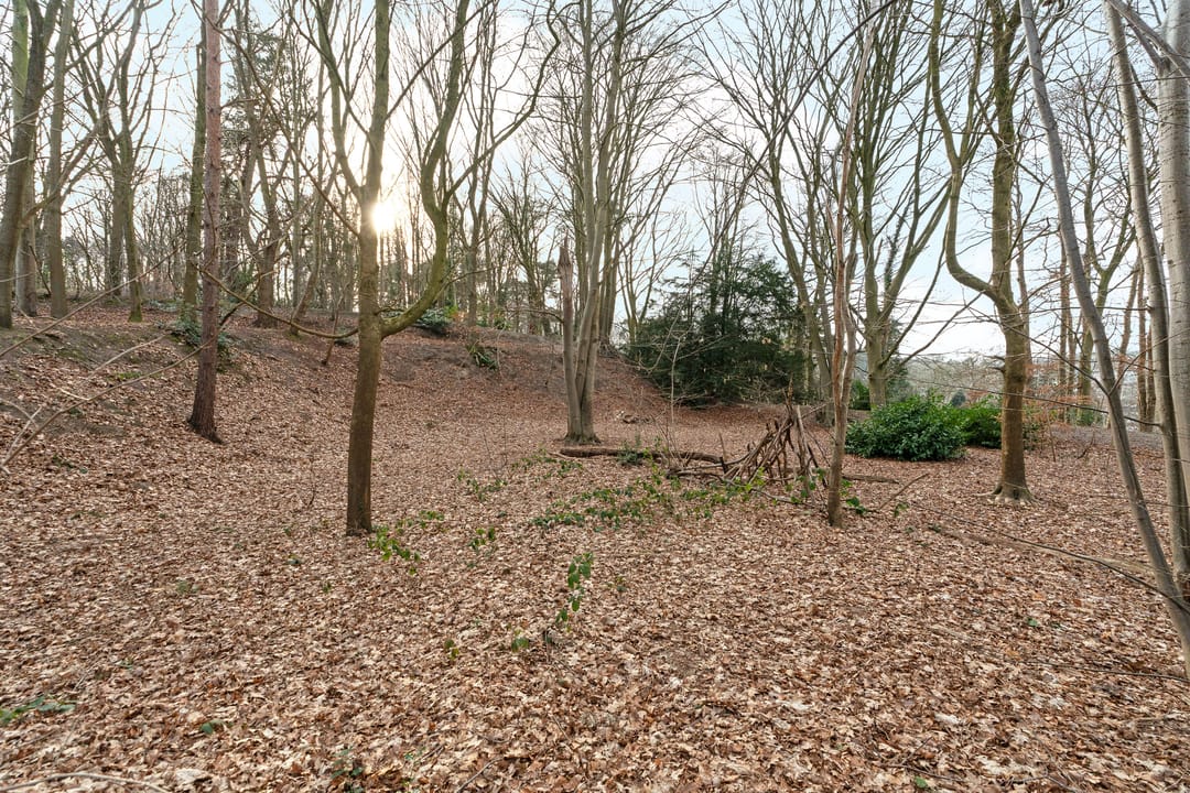 Photo 26 of Oude Bosweg