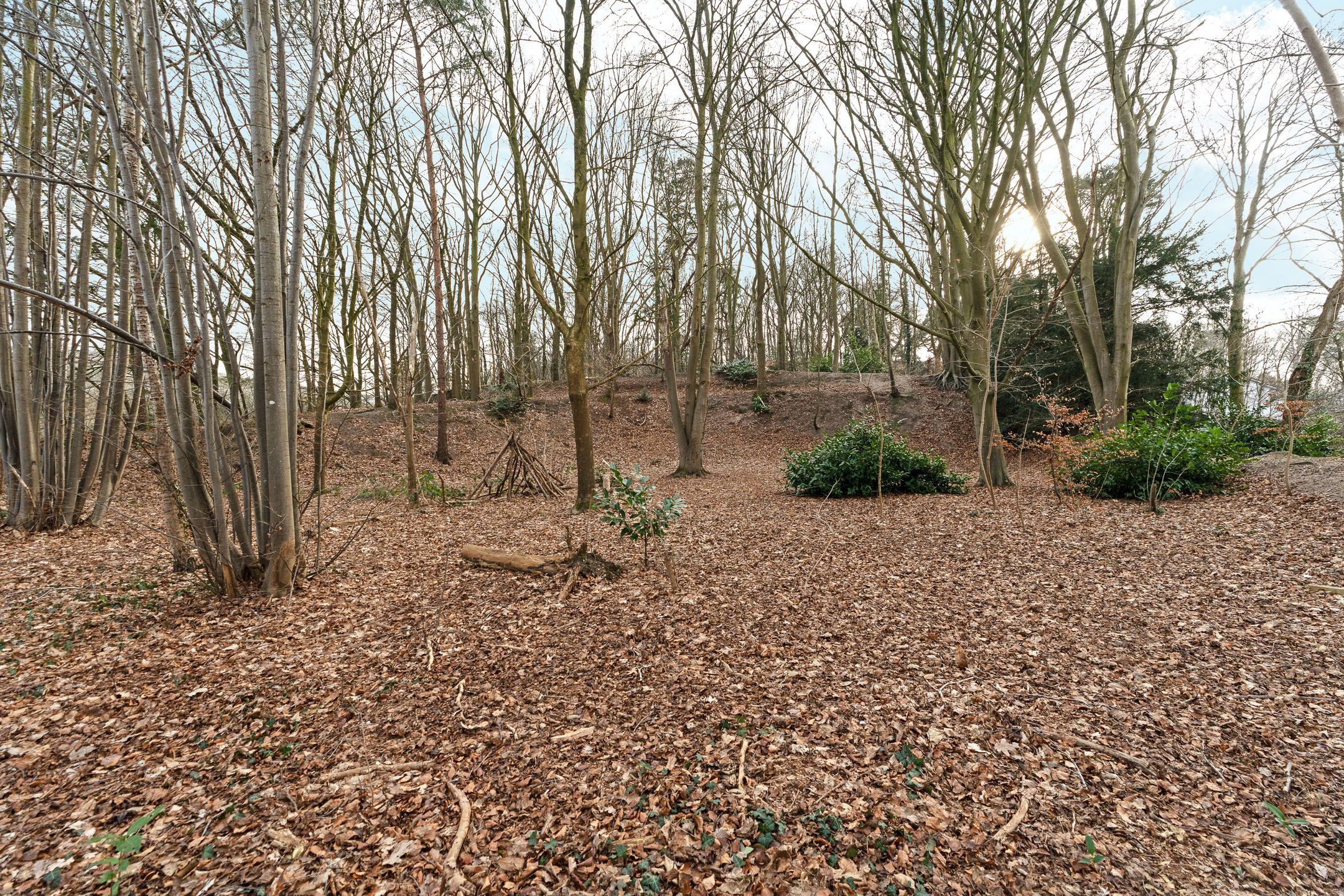 Photo 27 of Oude Bosweg