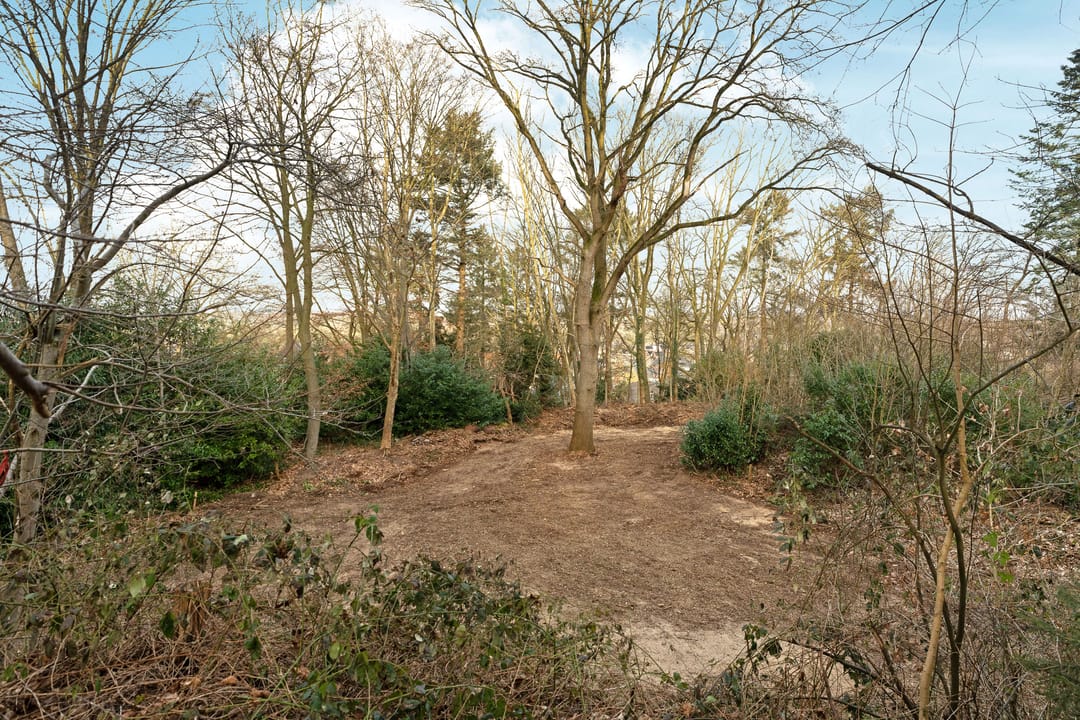 Photo 28 of Oude Bosweg