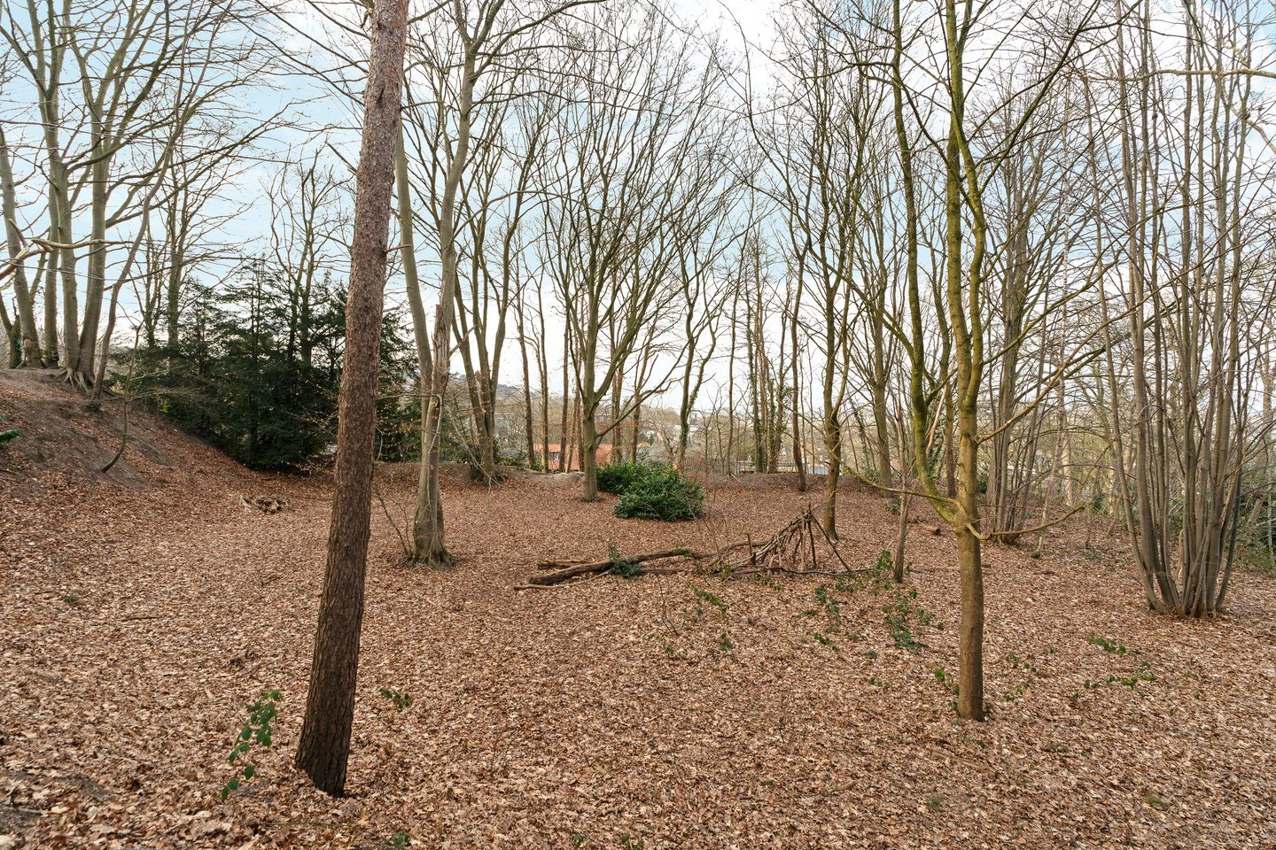 Photo 29 of Oude Bosweg