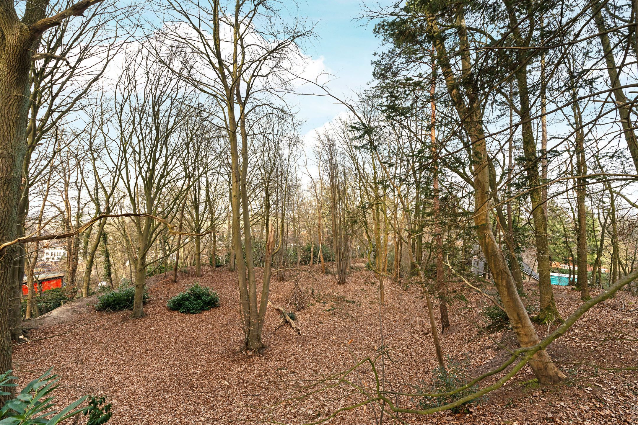 Photo 33 of Oude Bosweg