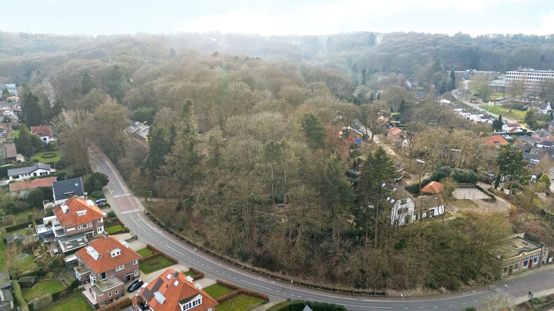 Photo 37 of Oude Bosweg