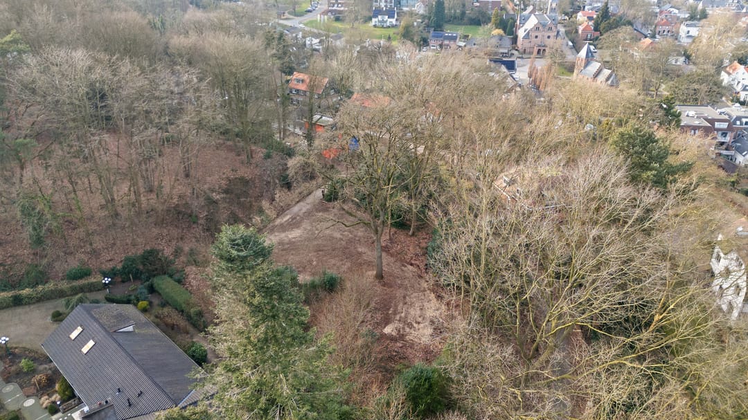 Photo 38 of Oude Bosweg