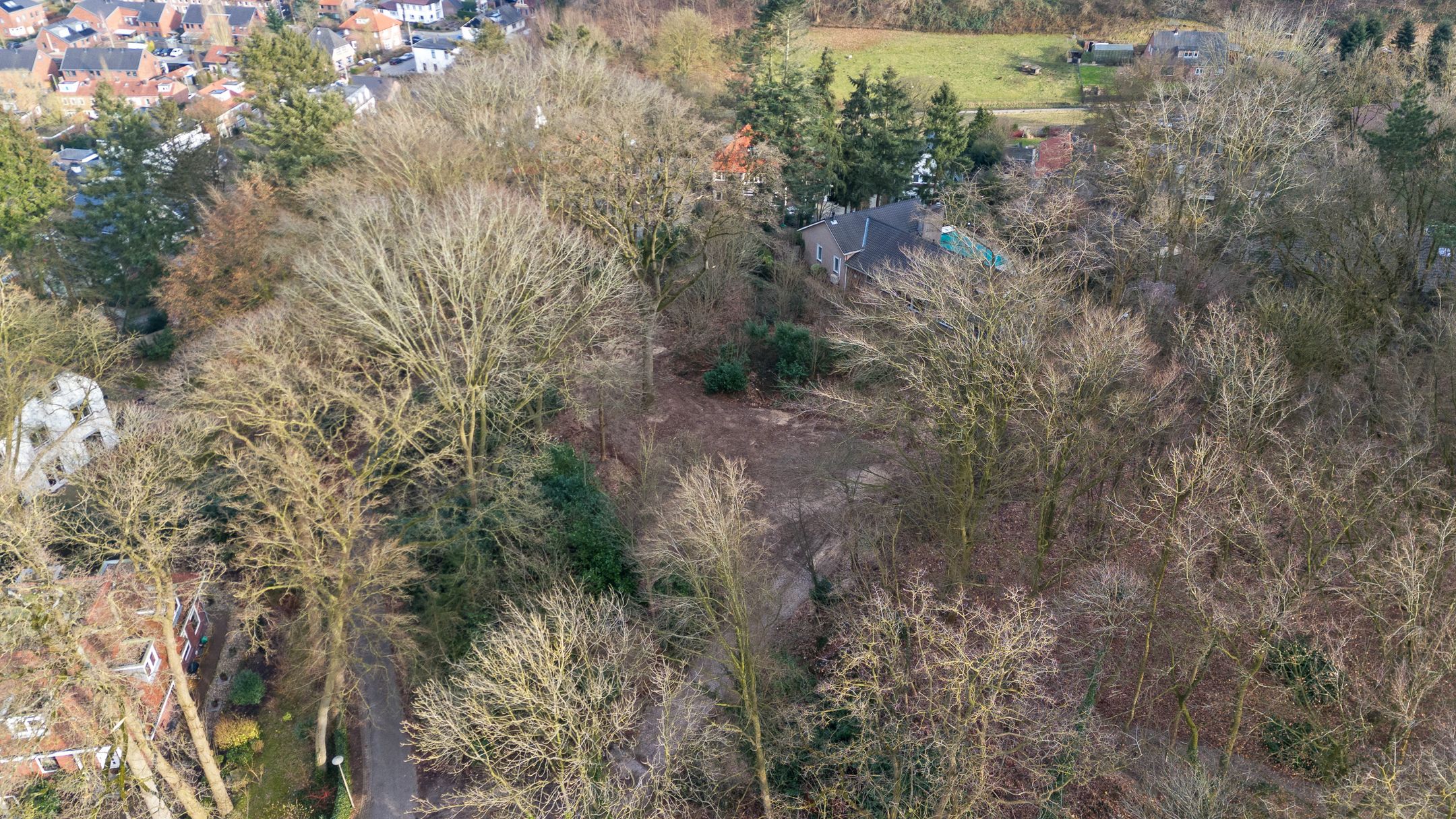 Photo 42 of Oude Bosweg