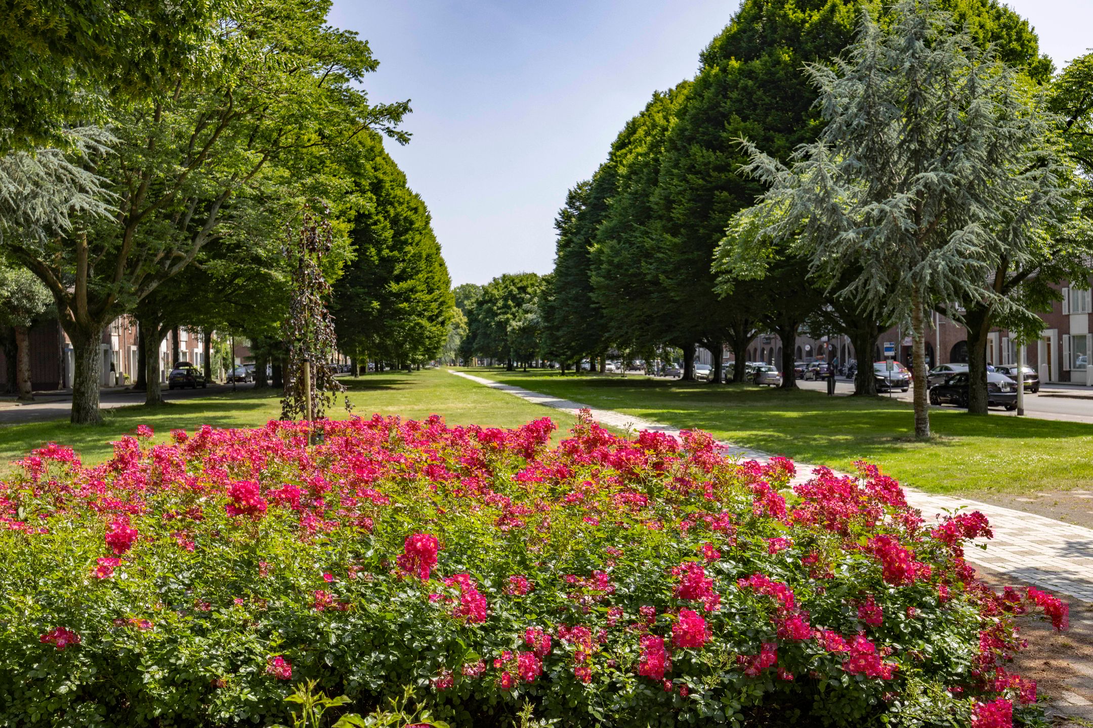 Foto 48 van Burgemeester Vissersstraat 35