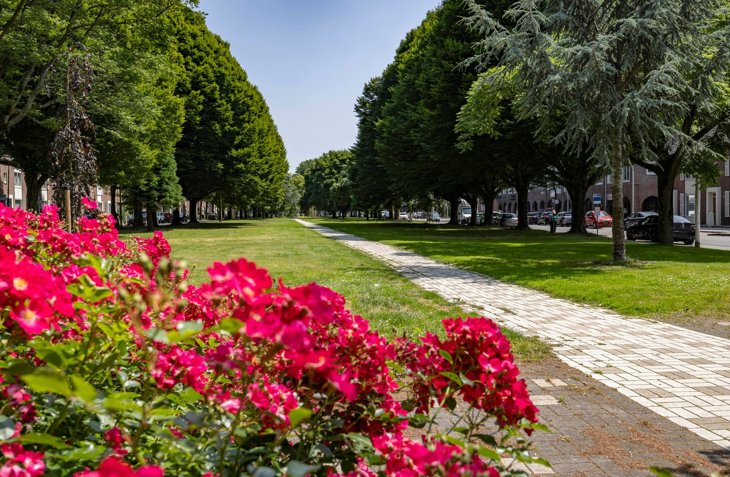 Foto 50 van Burgemeester Vissersstraat 35