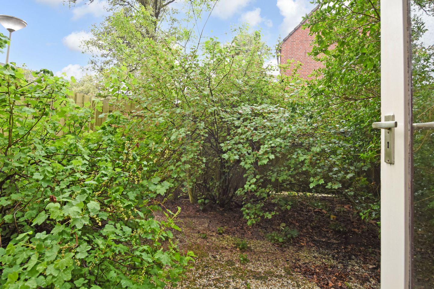 Foto 19 van Escamplaan 1005