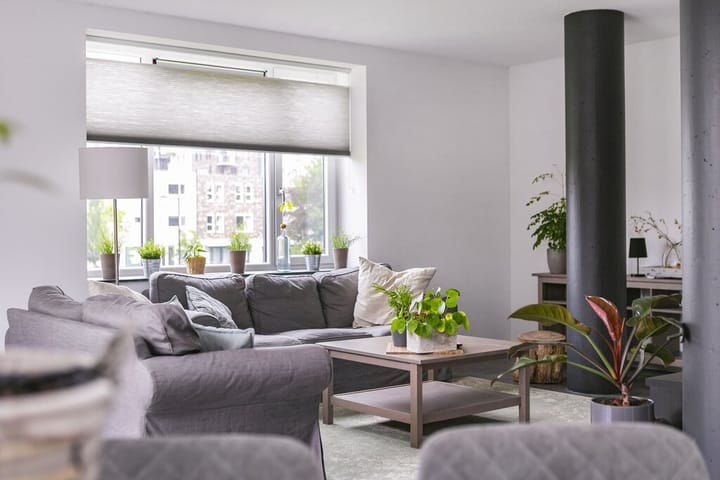 Photo 8 of Cantheelen 41