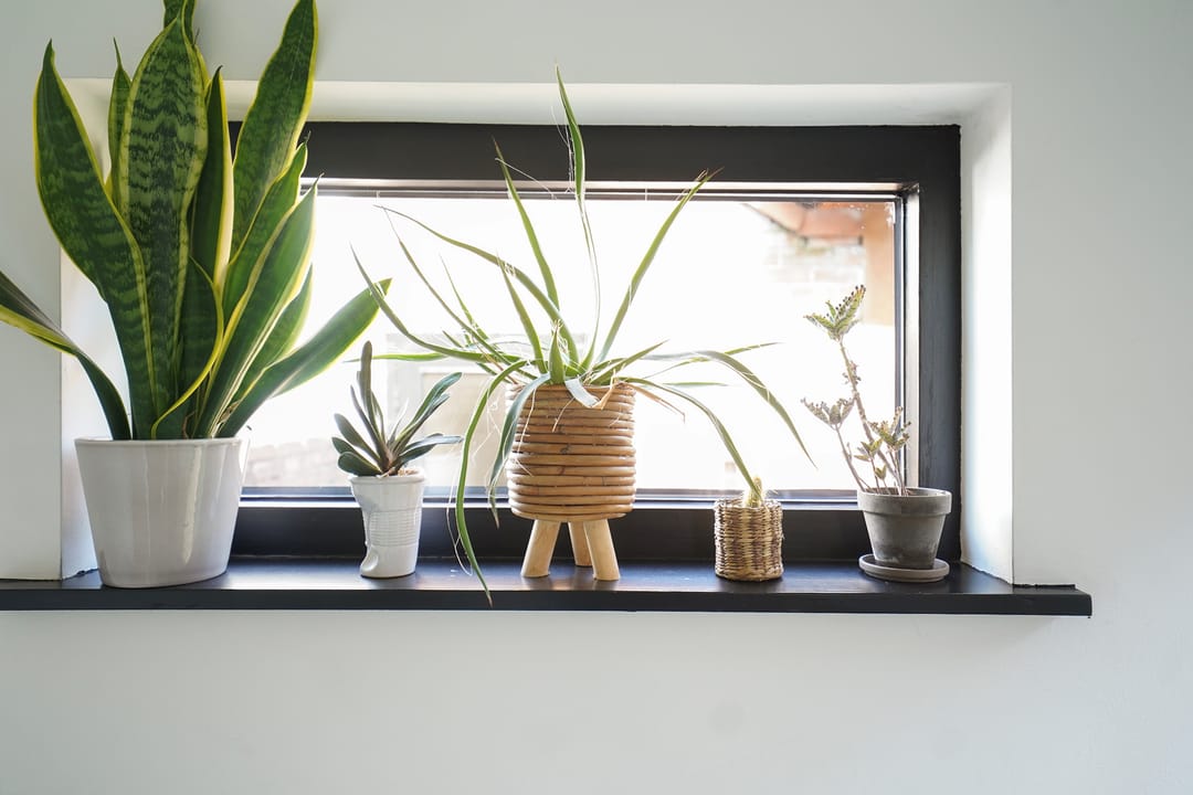 Foto 11 van Jac Catsstraat 26