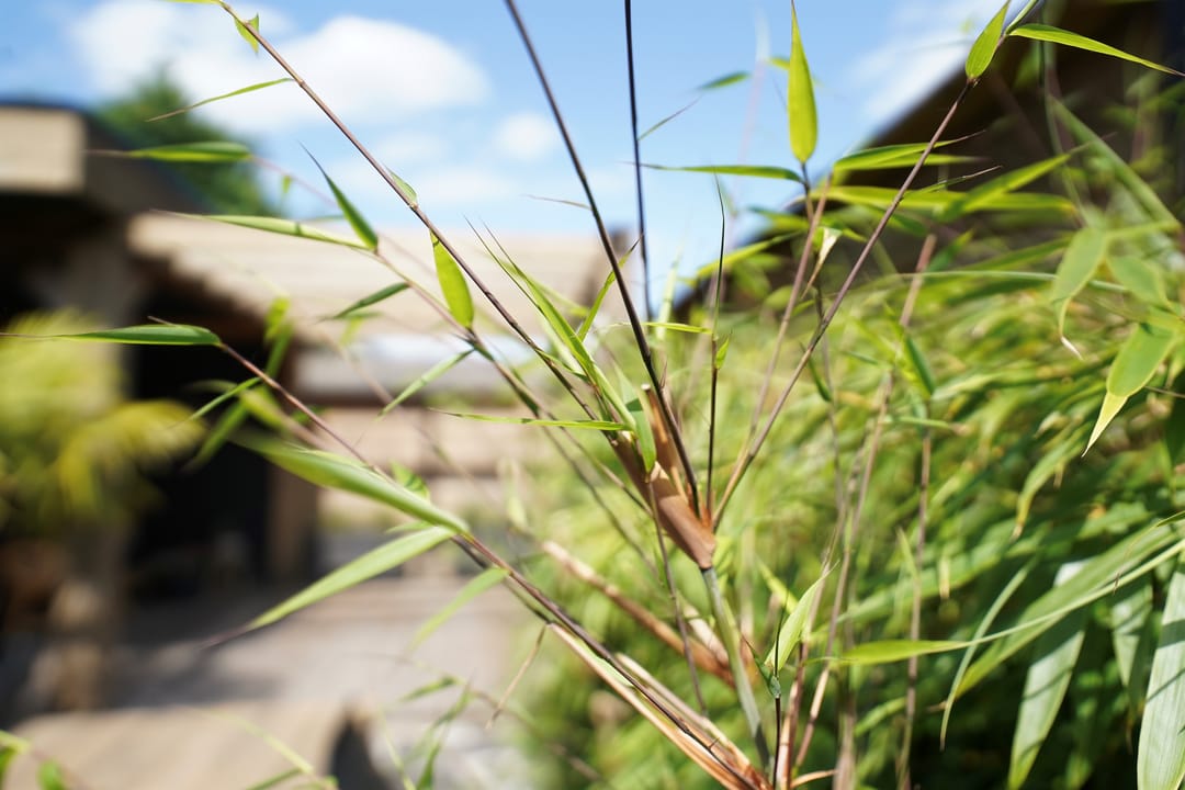 Foto 37 van Jac Catsstraat 26