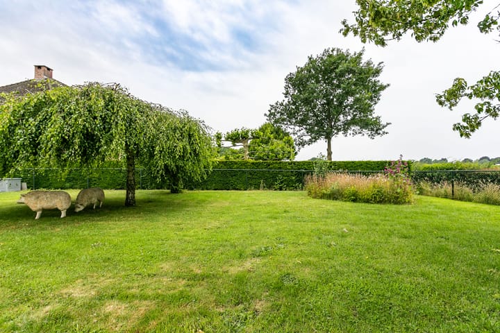 Foto 32 van Roekenveldweg 6