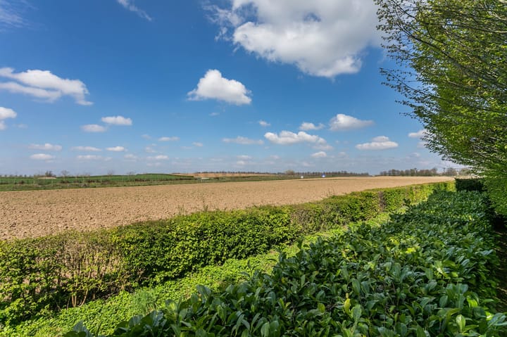 Foto 42 van Roekenveldweg 6