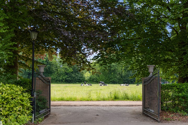 Foto 5 van Antwerpse Baan 6-A