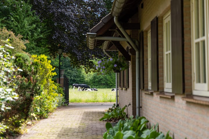 Foto 8 van Antwerpse Baan 6-A