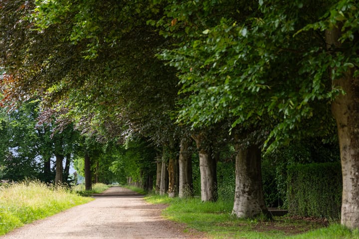 Foto 48 van Antwerpse Baan 6-A