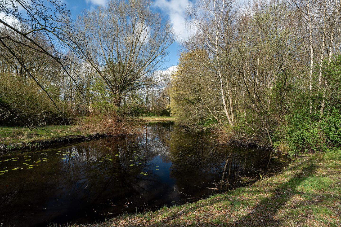 Foto 34 van Houtmoune 13