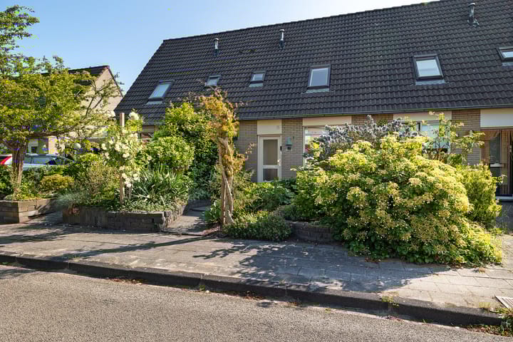 Foto 2 van Westerstukken 23