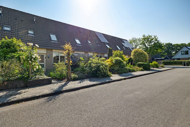 Foto 3 van Westerstukken 23