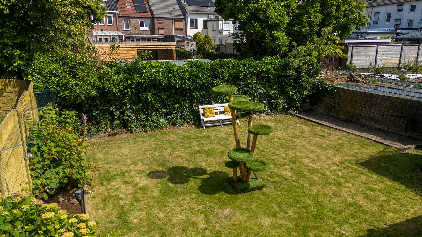 Foto 34 van Navostraat 15