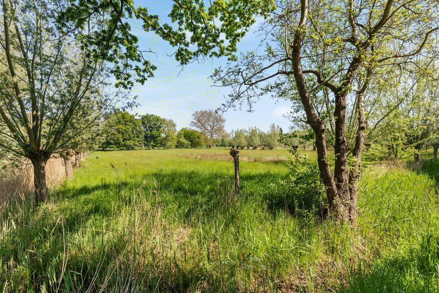 Foto 50 van Vekenoord 43