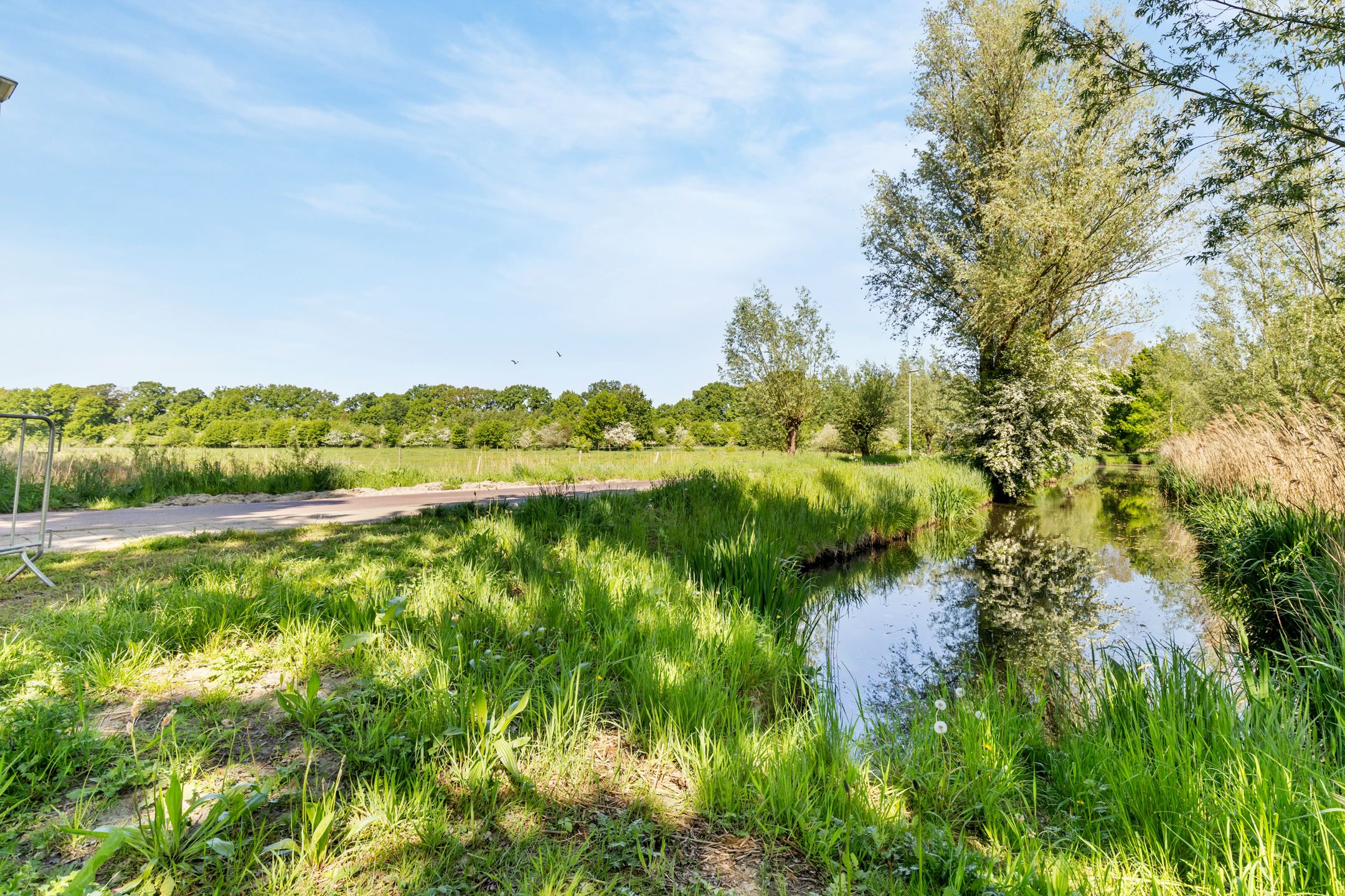 Foto 51 van Vekenoord 43