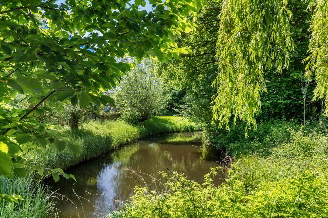 Foto 53 van Vekenoord 43