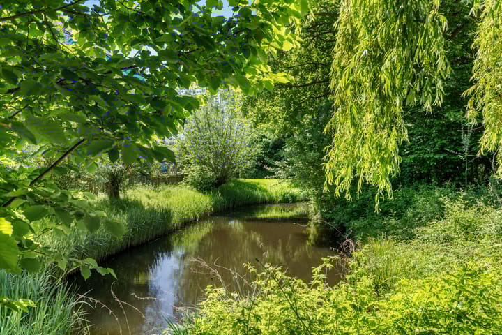 Foto 53 van Vekenoord 43