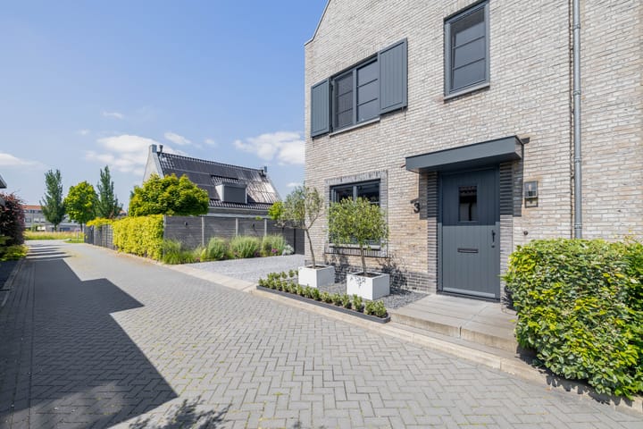 Photo 5 of Zwaluwbij 3