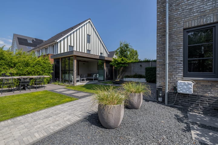 Photo 46 of Zwaluwbij 3