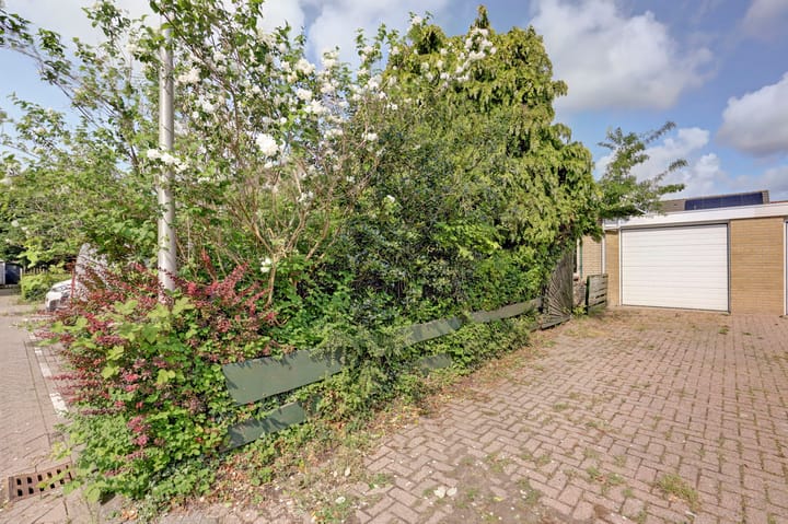 Foto 3 van Prins Hendriklaan 37