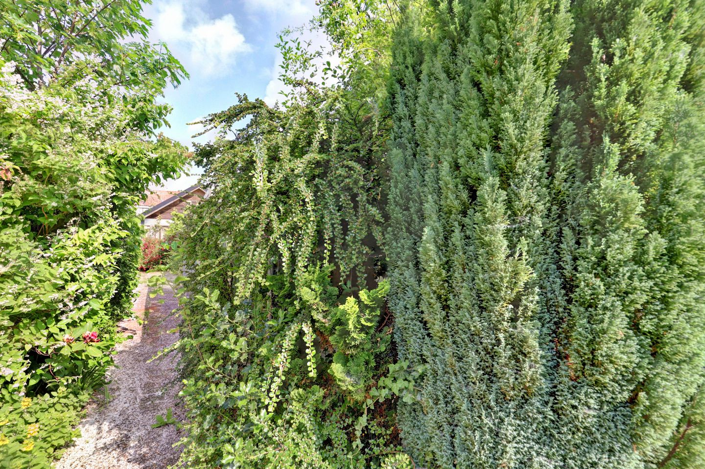 Foto 25 van Prins Hendriklaan 37