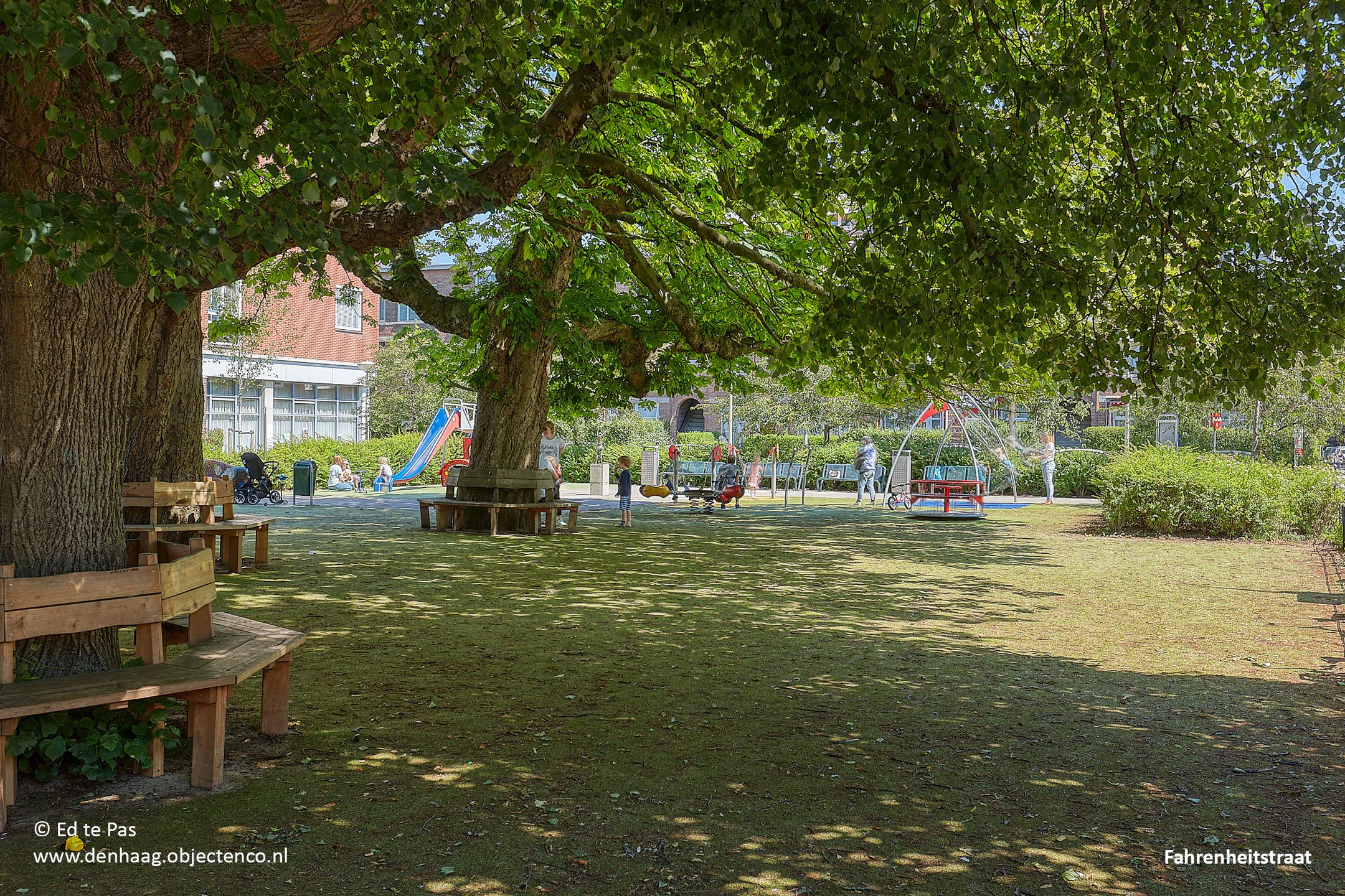 Foto 42 van Segbroeklaan 412-E