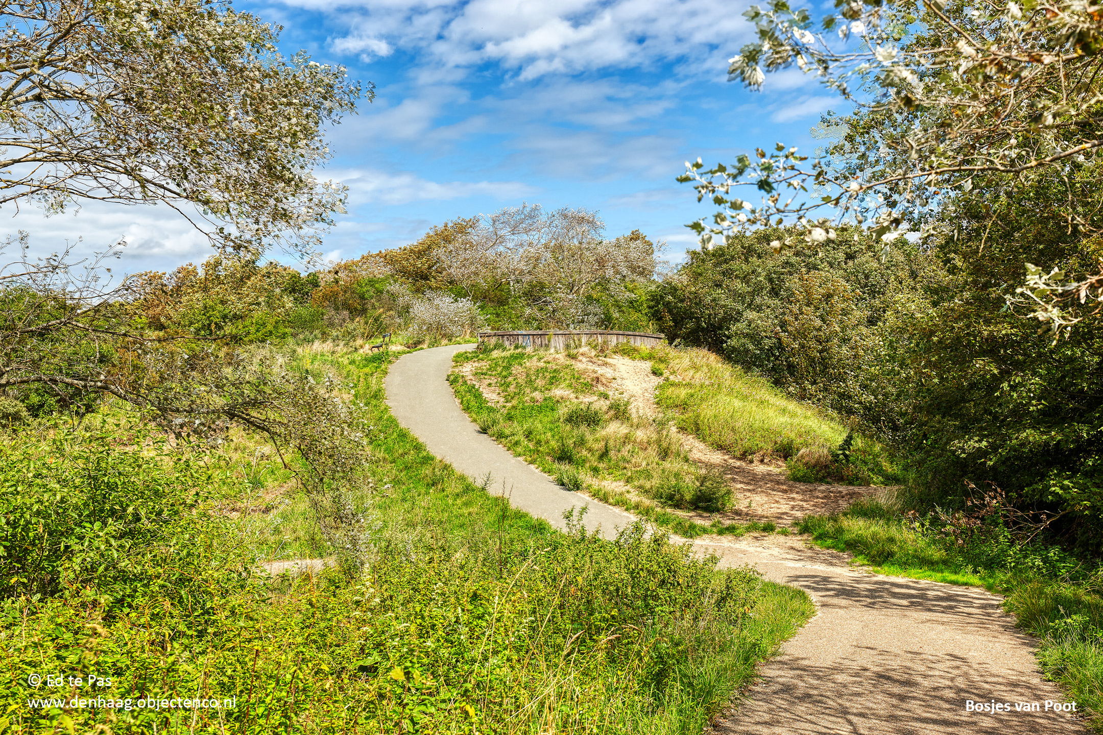 Foto 45 van Segbroeklaan 412-E