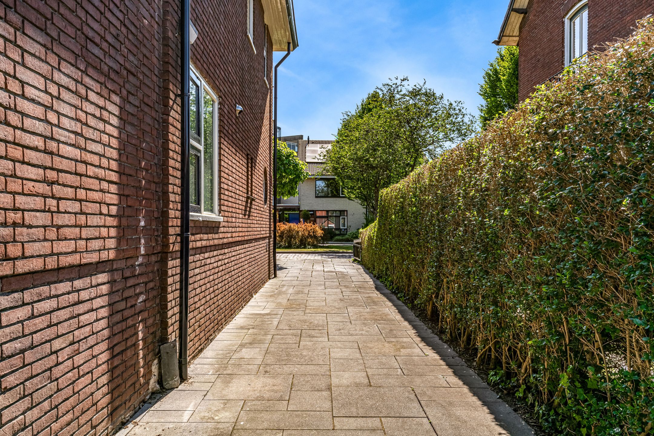 Foto 36 van Meeuwenlaan 4