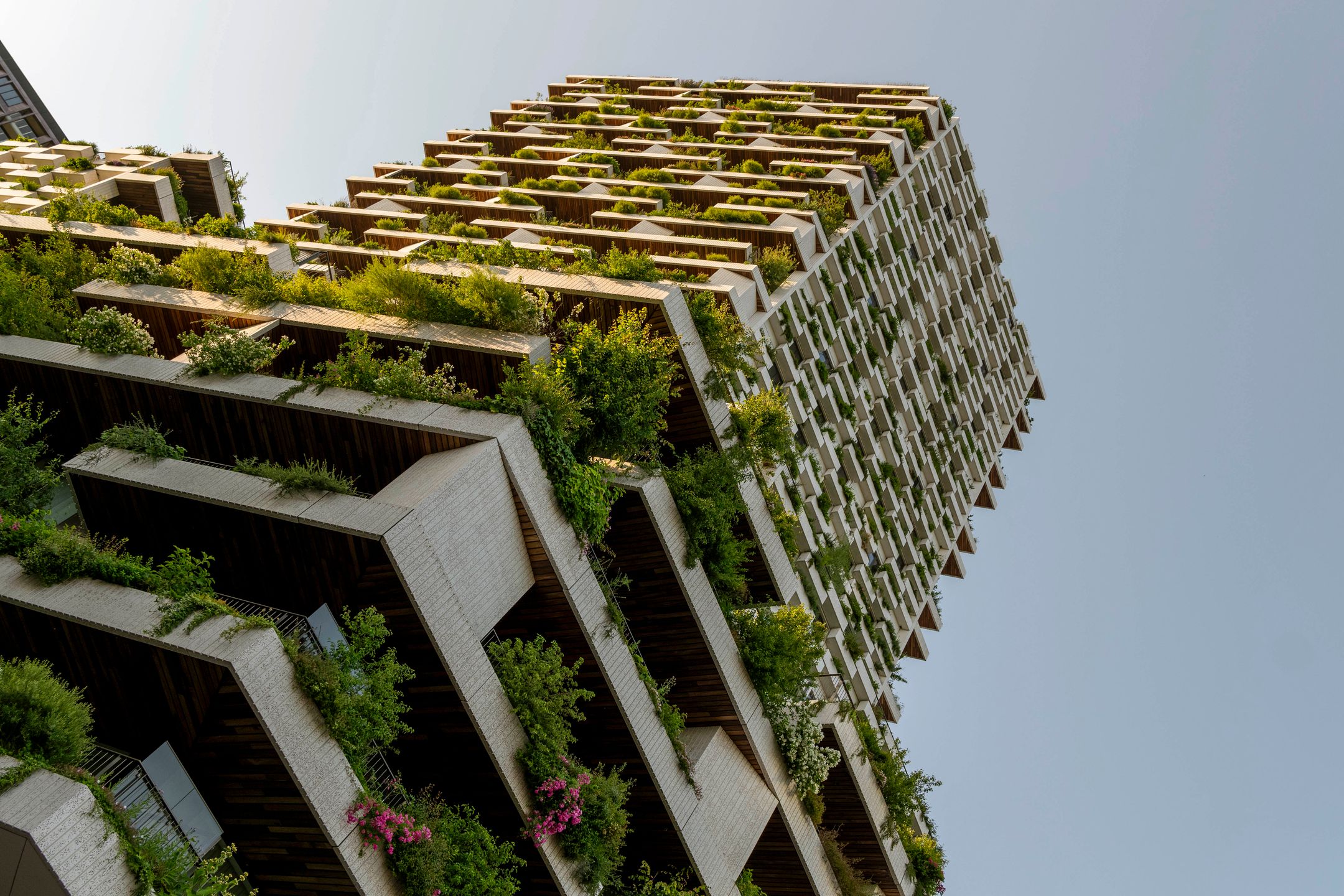 Foto 12 van Hoola van Nootenstraat 291