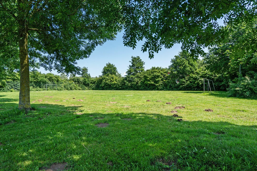 Photo 43 of Het Bolwerk 26