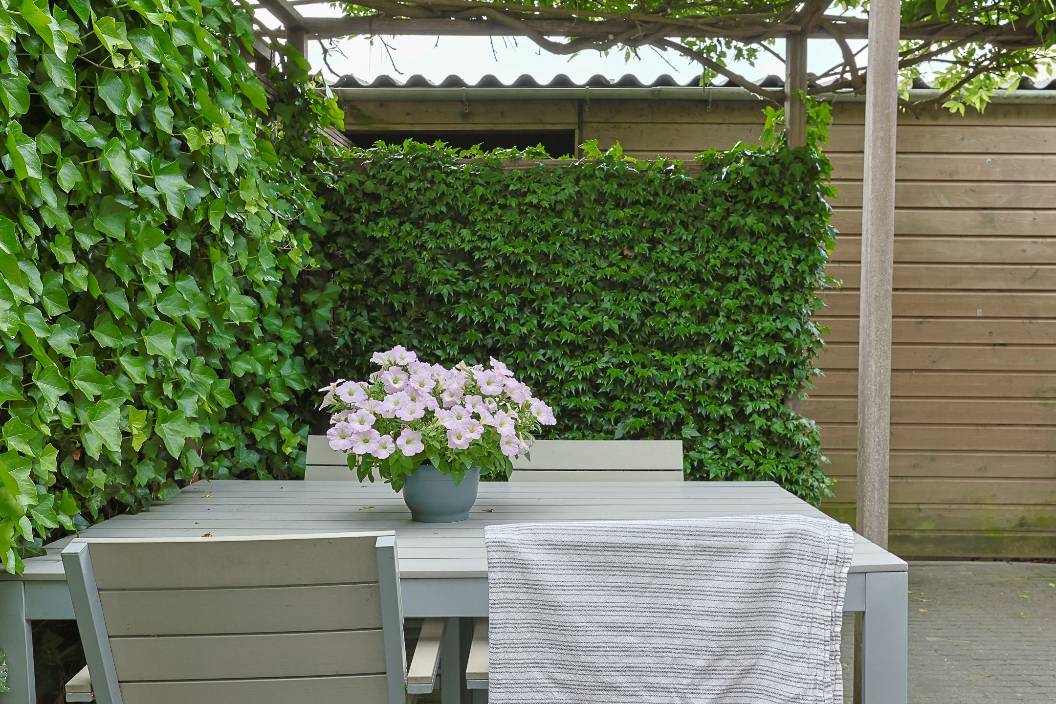 Foto 66 van Schouw 58