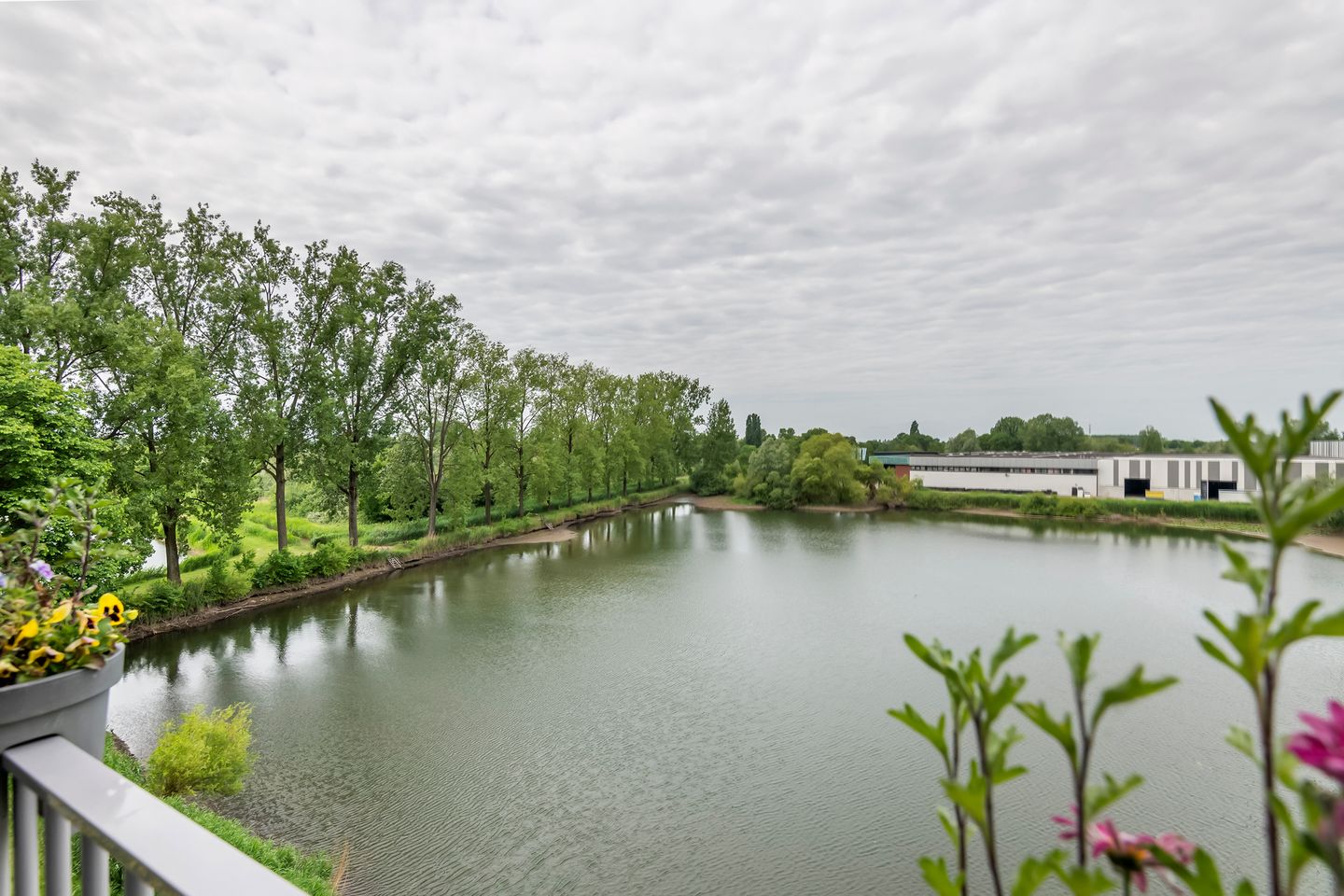 Foto 14 van Heuvel 153