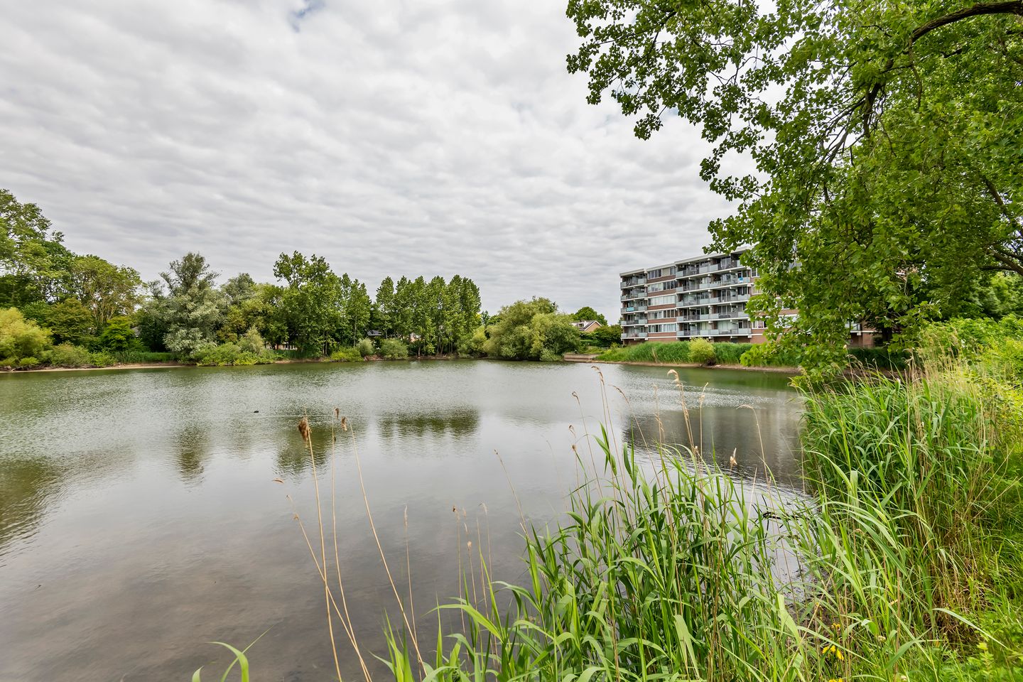 Foto 34 van Heuvel 153